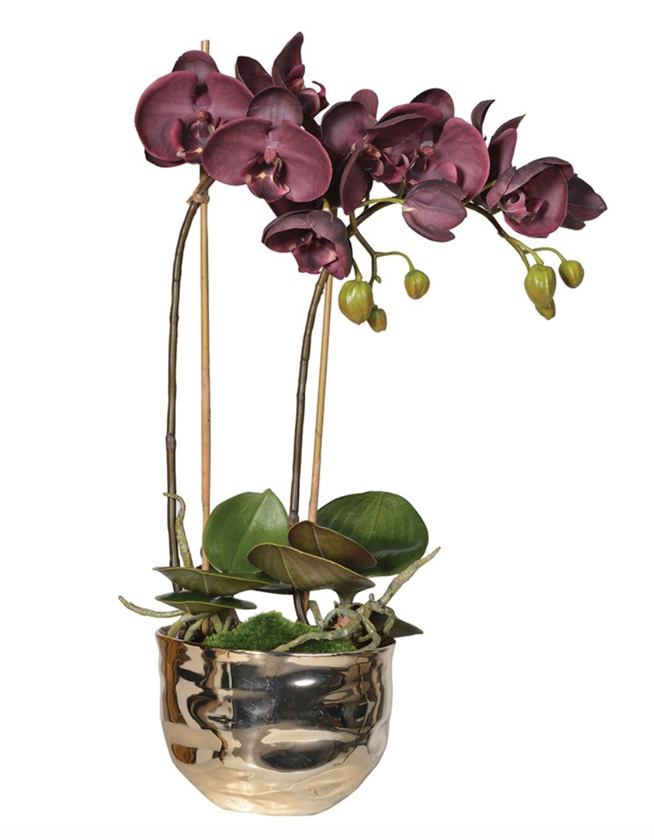 Purple orchid in gold pot